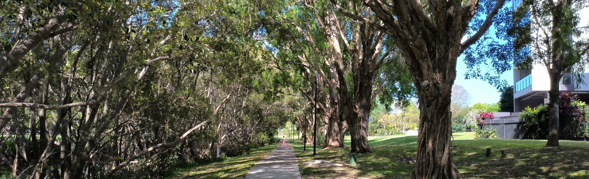 Norman Creek and Nicholson Street Bikeways: 28 Reviews, Map ...