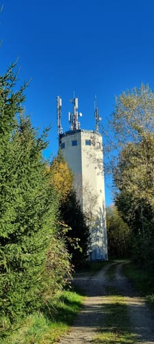 Rundweg: Buch - Thann - Westendorf