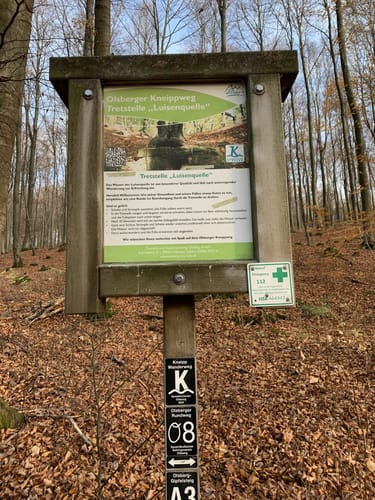 Olsberg Runde