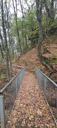 Burgwaldpfad Etappe 3: Münchhausen - Frankenberg