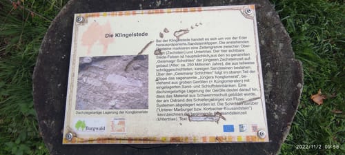 Burgwaldpfad Etappe 3: Münchhausen - Frankenberg