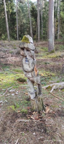 Burgwaldpfad Etappe 3: Münchhausen - Frankenberg