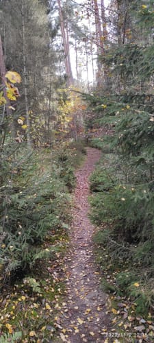 Burgwaldpfad Etappe 3: Münchhausen - Frankenberg