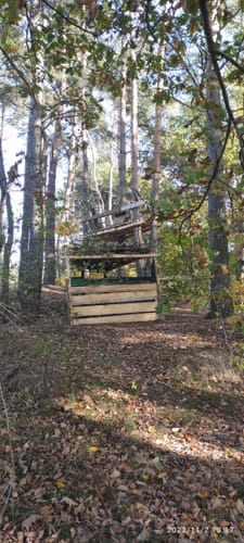 Burgwaldpfad Etappe 3: Münchhausen - Frankenberg