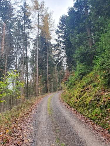 Calmbach Friedhof - Alte Steige - Köpfelsweg