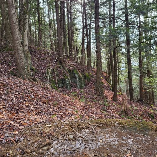 Best Hikes and Trails in Cricket Hill Mountain Bike Trails AllTrails