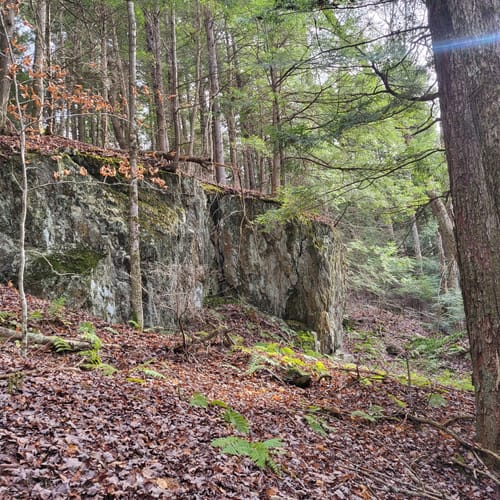 Best Hikes and Trails in Cricket Hill Mountain Bike Trails AllTrails