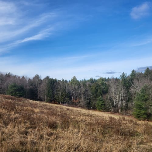 Best Hikes and Trails in Cricket Hill Mountain Bike Trails AllTrails