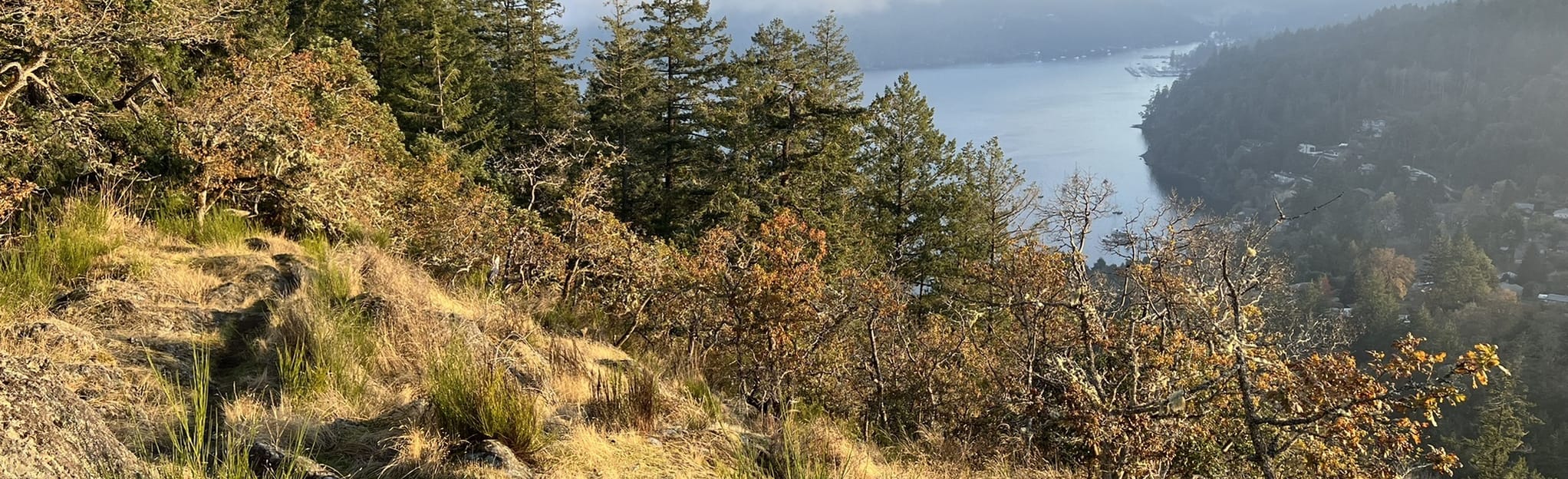 Maple Bay Loop 150 foto's BritsColumbia, Canada AllTrails