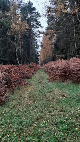 Zur Fuchsbergwiese