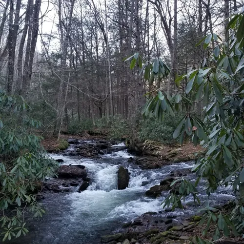 Best Moderate Trails in Loganton AllTrails