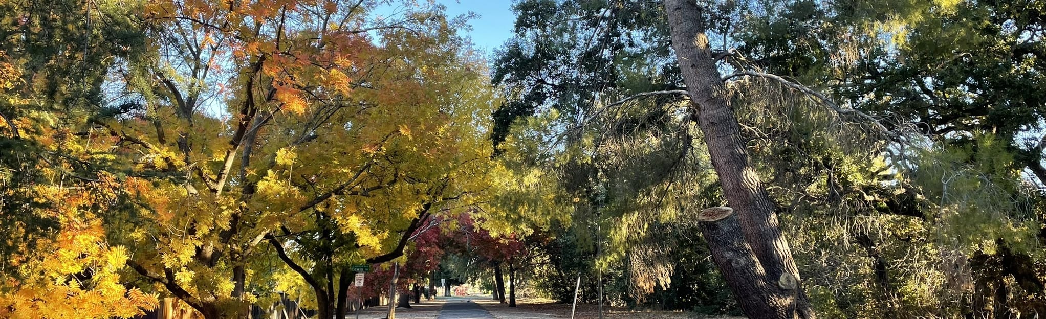Alamo Creek Bike Trail Eleanor Nelson to Patwin Park 133 Reviews, Map