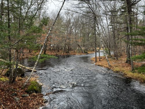 2023 Best Lake Trails in Kejimkujik National Park | AllTrails