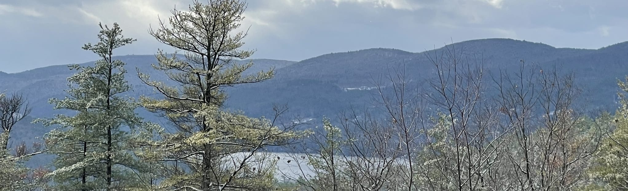 Sawyer Mountain Trail 12 Reviews, Map Vermont AllTrails