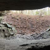 Sand Cave Trail, Kentucky - 273 Reviews, Map | AllTrails