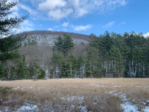 10 Best Trails and Hikes in Northville | AllTrails