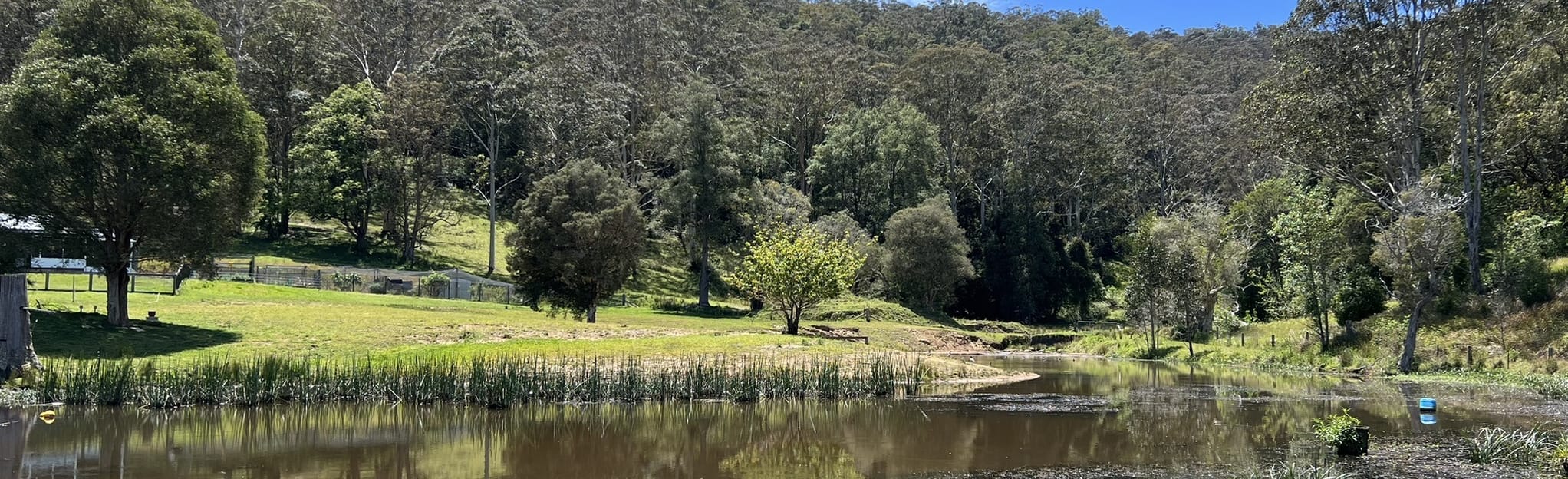 Yarramalong to Cedar Brush via Great Northern Walk, New South Wales, Australia 17 Reviews, Map