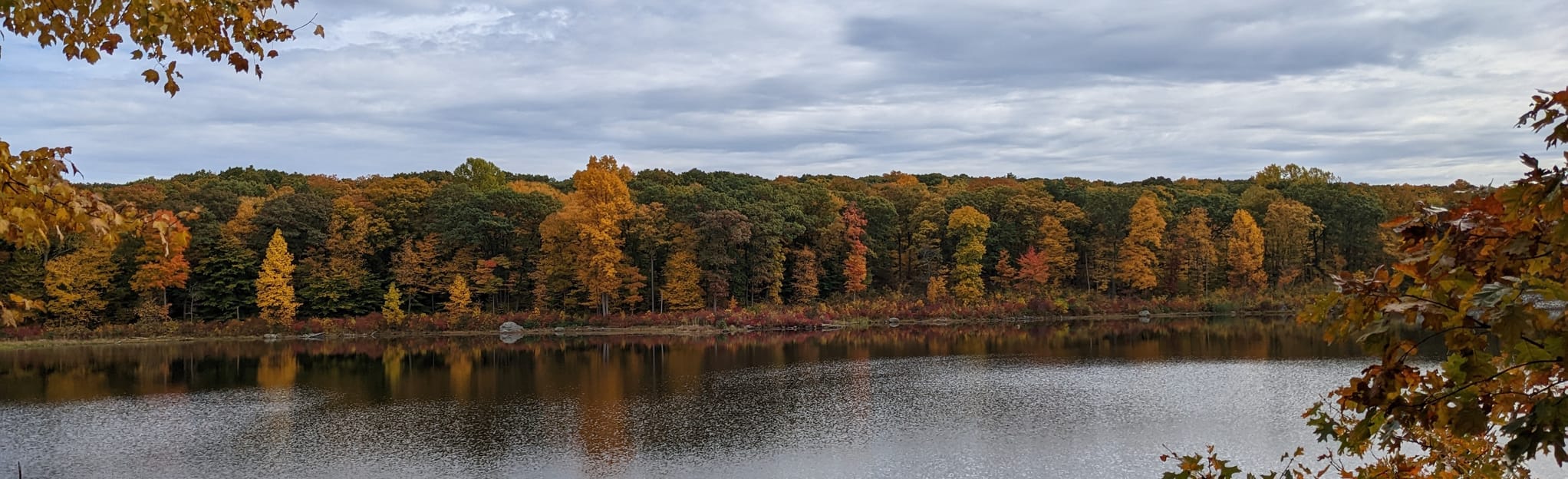 Beaver Brook Trail 59 Reviews, Map New Jersey AllTrails