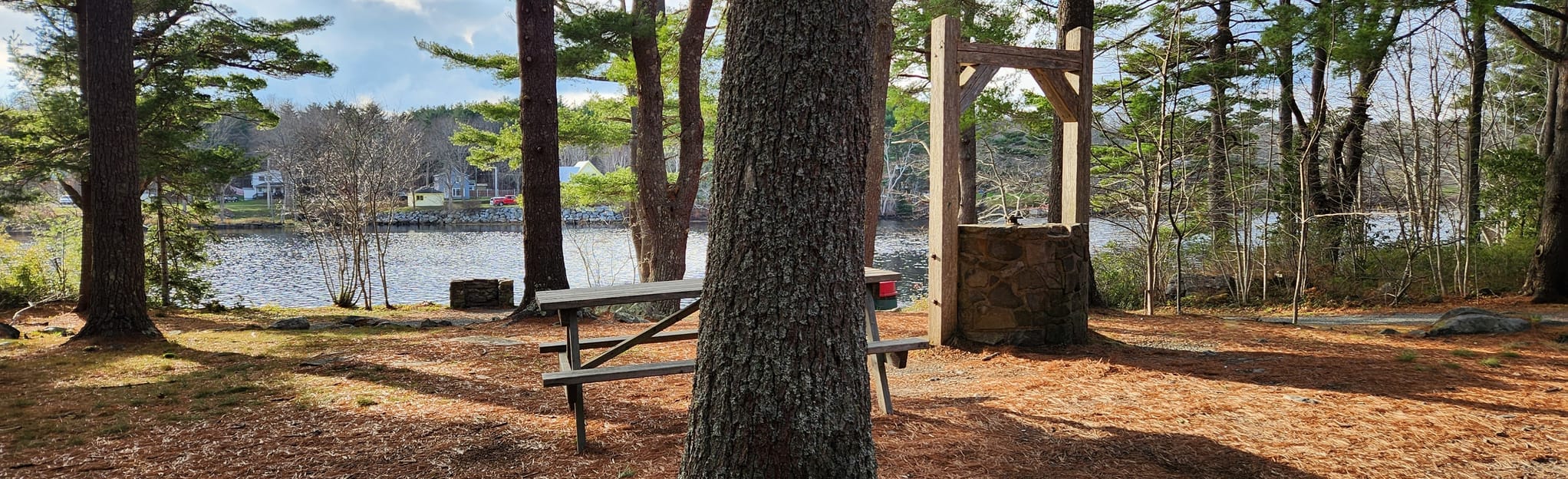 Pine Grove Trail 3 Reviews, Map Nova Scotia, Canada AllTrails