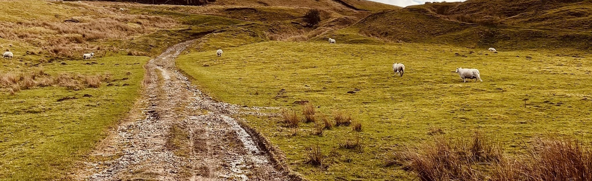 Rylstone Cross and Cracoe Obelisk Circular North Yorkshire, England