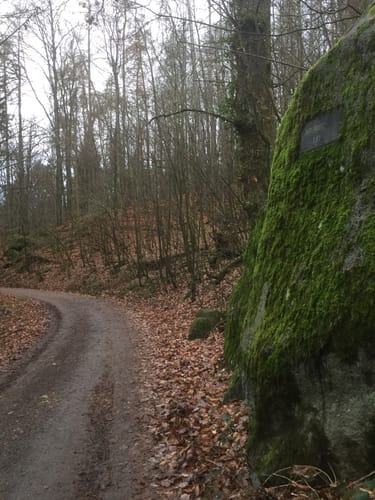 Pfad der Geschichte(n) in Fischbachtal (F2)