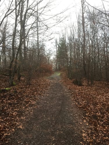 Pfad der Geschichte(n) in Fischbachtal (F2)