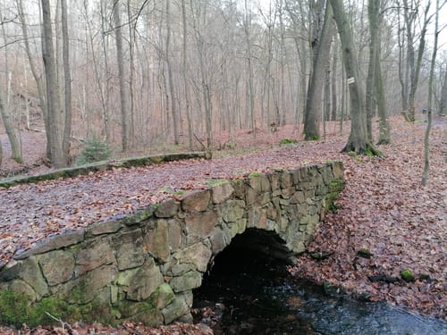 Rundwanderweg Coswig