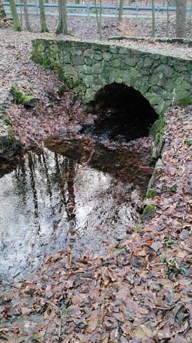 Rundwanderweg Coswig