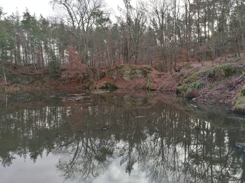Rundwanderweg Coswig