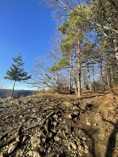 Hexenküche (Premiumspazierwanderweg)
