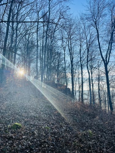 Hexenküche (Premiumspazierwanderweg)