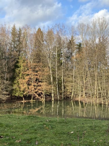 Rund um den Absinkweiher Hahnwiese
