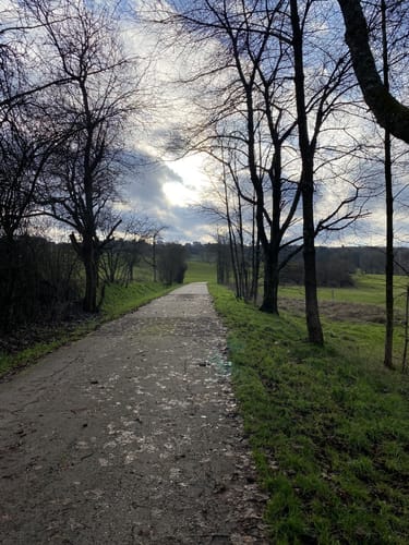 Rund um den Absinkweiher Hahnwiese