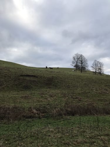 Wendelinusweg bei Immerath (HeimatSpur)