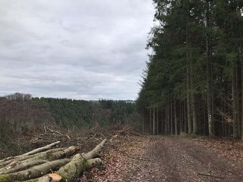 Wendelinusweg bei Immerath (HeimatSpur)