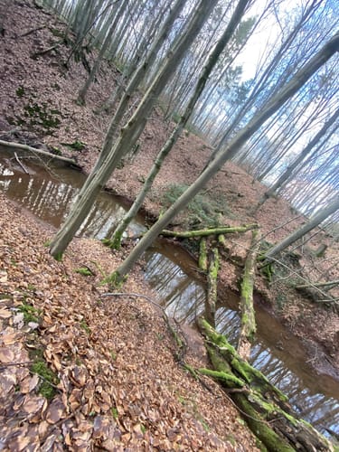 Kleine Saarschleife und Mittelpunkt des Sarlandes
