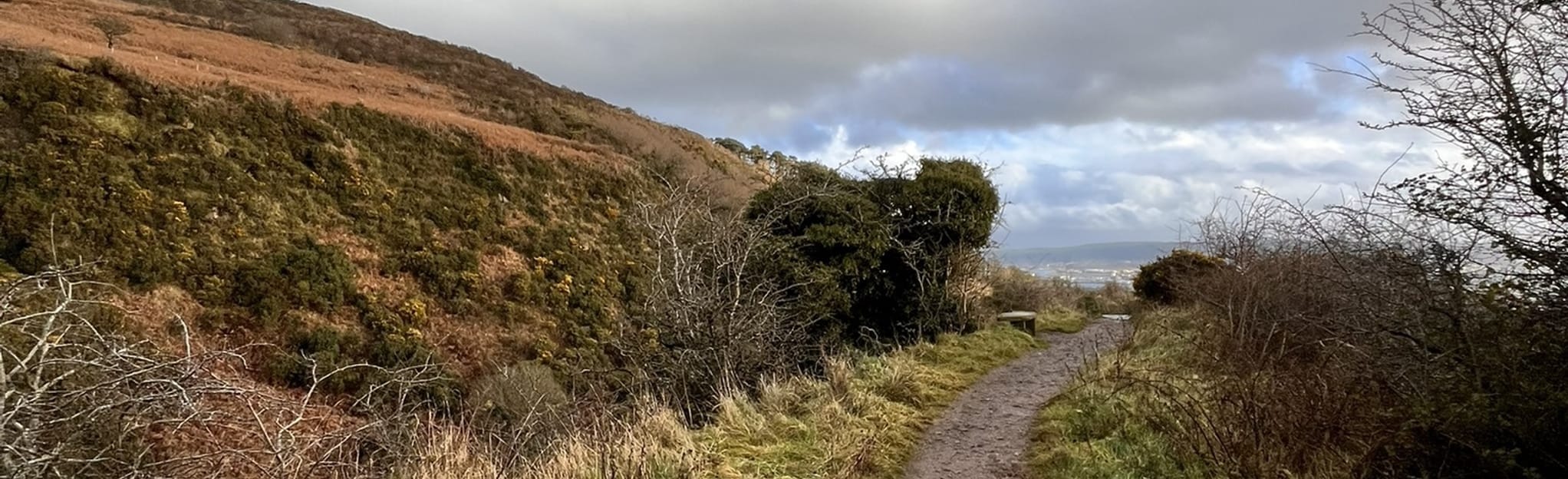 Cavehill Circular, Antrim and Newtownabbey, Northern Ireland 488