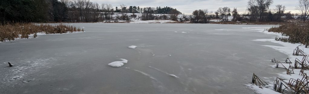 Vermont, USA. Frozen rocks along a river in the winter