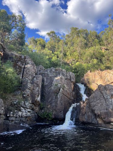 Photos of Zumsteins, Victoria river trails | AllTrails