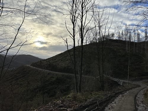Rundweg A 3 - Oberförster-Pfahl-Weg