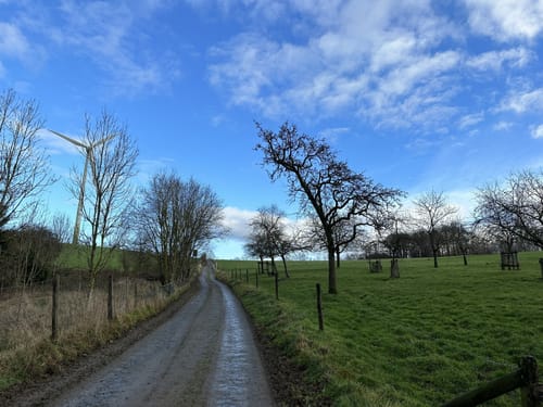Rundweg A 3 - Oberförster-Pfahl-Weg