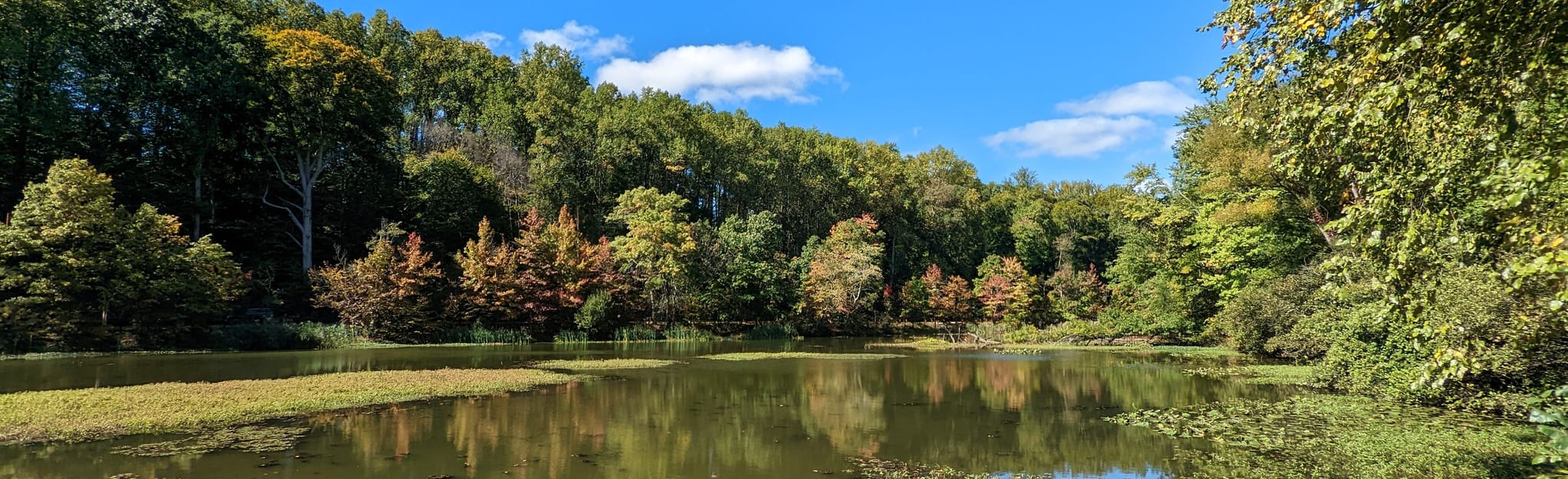 Rahway and Maple Falls Trail Loop New Jersey AllTrails