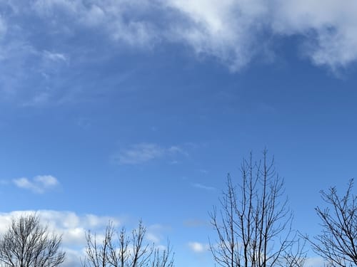 Fachwerkweg (Streifzug #22)