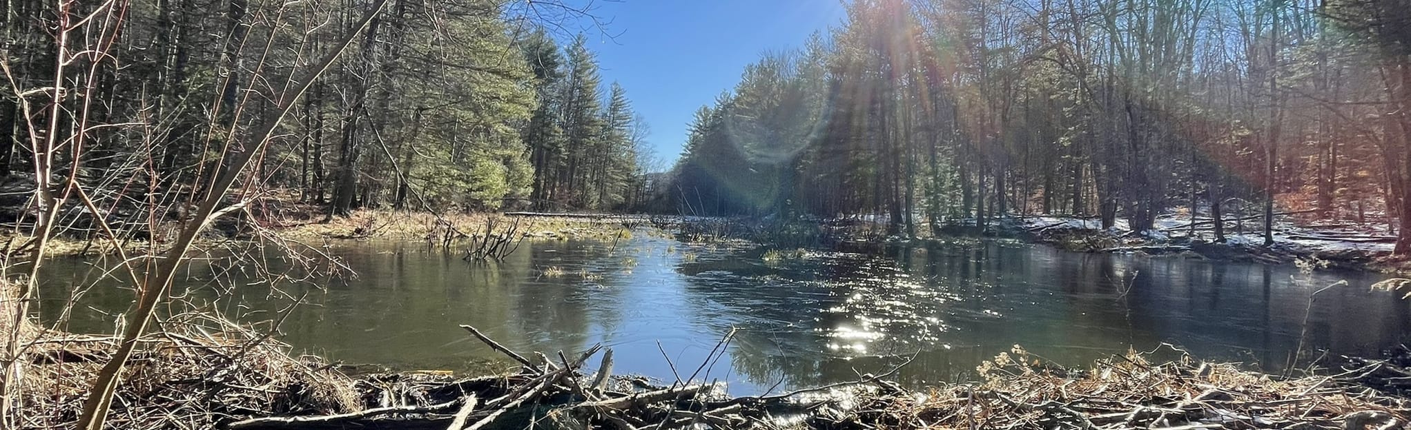 Goodwin Trail, Maine 59 Reviews, Map AllTrails