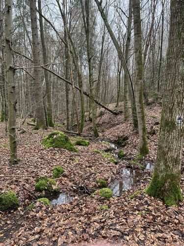 Romantischer Bertaweg