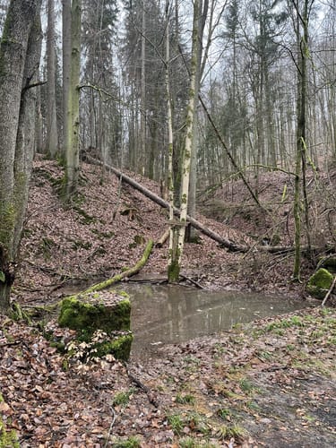 Romantischer Bertaweg