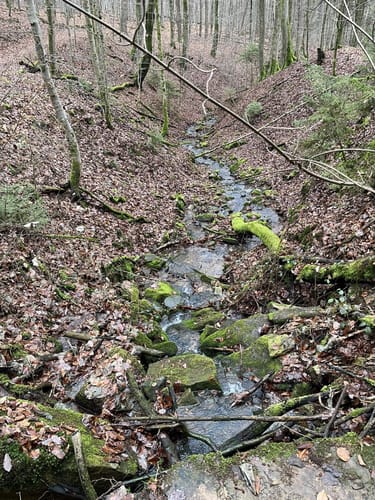 Romantischer Bertaweg