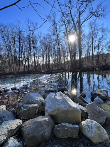 Best Hikes and Trails in McAllister -