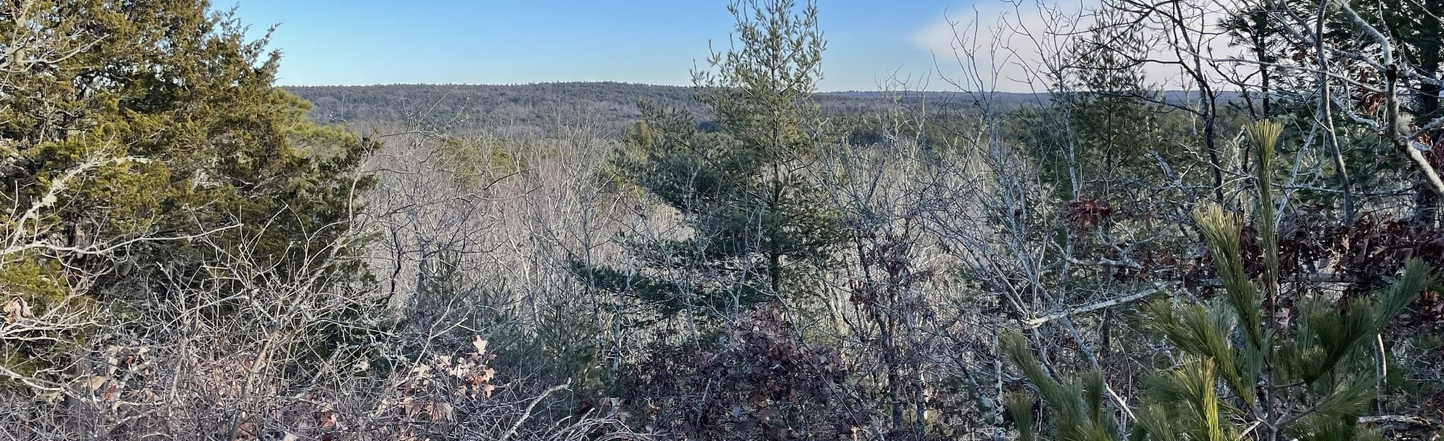 Mount Tom Summit, Rhode Island 290 Reviews, Map AllTrails