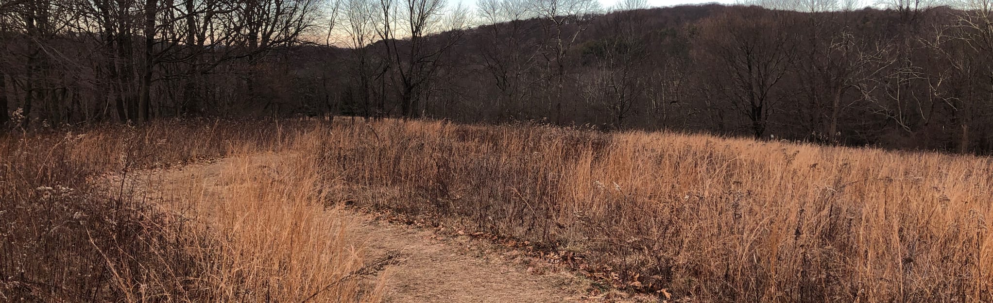 Meyer Preserve Upper Meadows Trail New York AllTrails